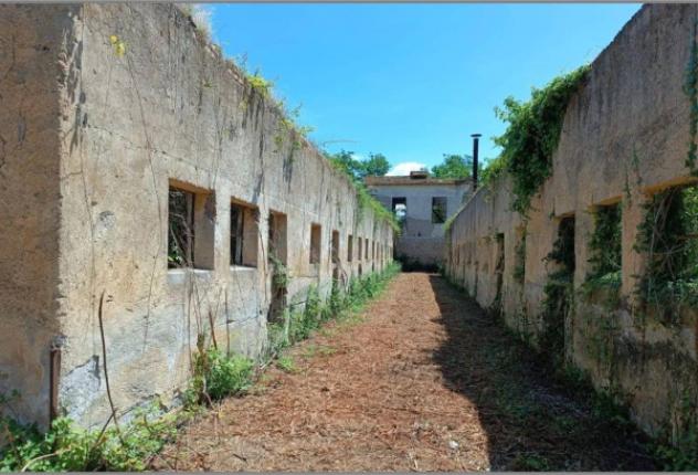 Immobile in asta di 4055 m² in vendita a Cisterna di Latina - Foto 3