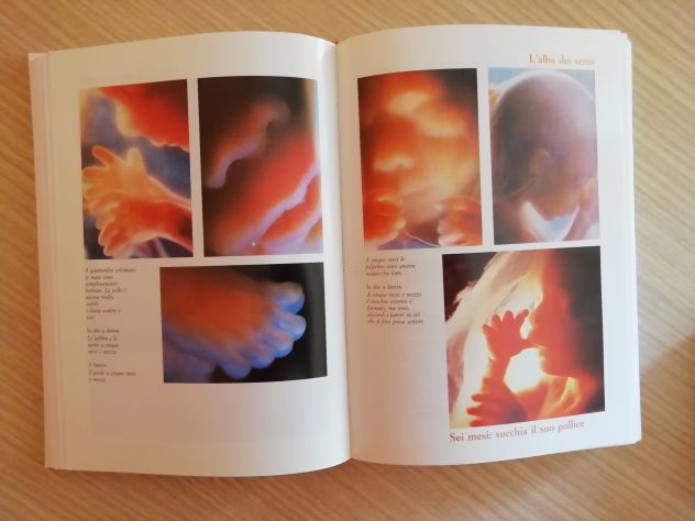 "Aspetto un Bambino" Una guida "giorno per giorno" pag. 384 -Laurence Pernoud - Foto 3