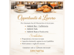 Addetto/a bar caffetteria
