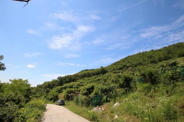 Bosco in vendita a Castegnero - Foto 16