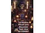 SANTERA PALERA CUBANA LEGAMENTI SEPARAZIONE CONSULTO CARACOLES DE ELEGUA
