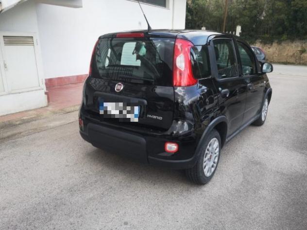FIAT Panda 1.0 FireFly S&S Hybrid rif. 23745738 - Foto 5