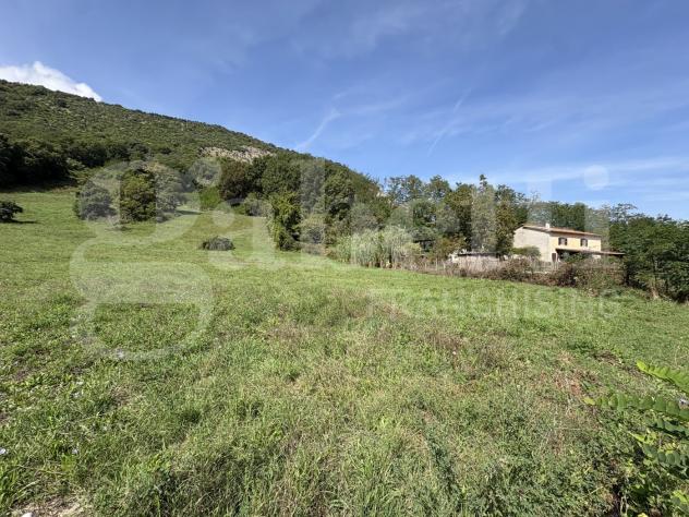 Terreno Agricolo - Segni . Rif.: Cod. rif 3261218VCG - Foto 12
