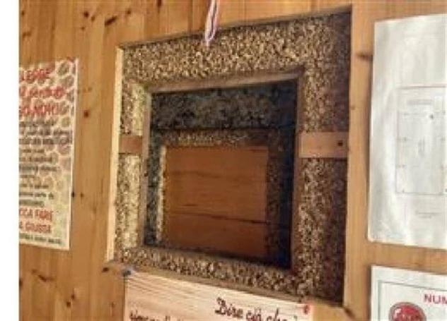 Immobile in asta di 1410 m² in vendita a Villastellone - Foto 8