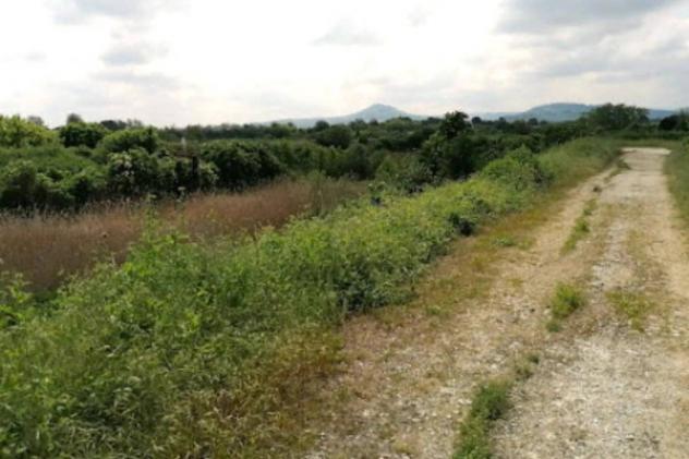 Immobile in asta di 130 m² in vendita a Meldola - Foto 12