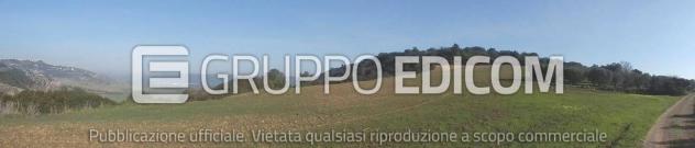 Terreno di 46370 mq in vendita a Montescaglioso - Rif. 4555042 - Foto 2