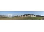 Terreno di 46370 mq  in vendita a Montescaglioso - Rif. 4555042