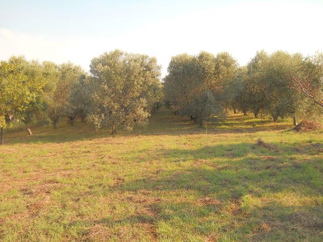 Oliveta, Piombino costa Est - Foto 6
