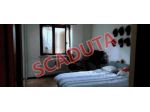 Immobile in asta di 81 m² in vendita a Rieti