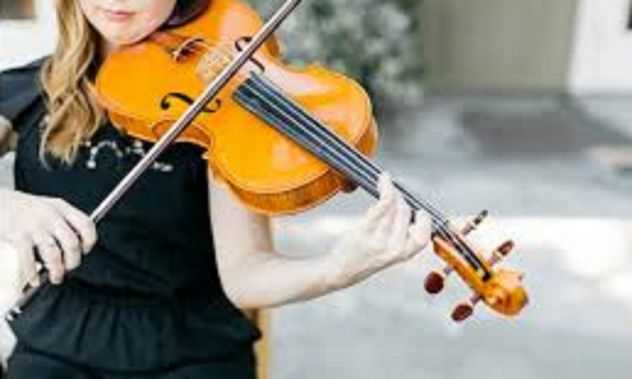 Trio musicale composto da Organista, soprano e violinista