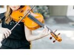 Trio musicale composto da Organista, soprano e violinista