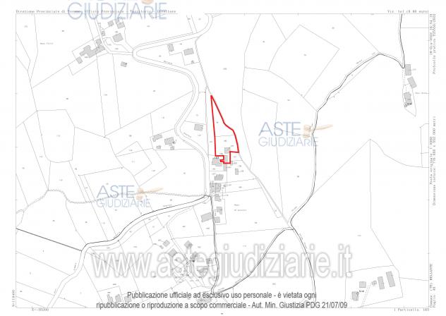 IMMOBILI-ALTRA CATEGORIA-Località Colle Izzano - Foto 10