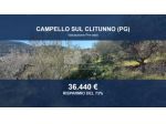 Immobile in asta di 4934 m² in vendita a Campello sul Clitunno