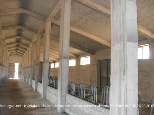 R.G.E. 18/2009 Enna (ex Nicosia) - Foto 12