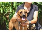 Meraviglioso Giordan, aspetta una famiglia per sempre.