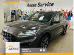 FORD Kuga 1.5 EcoBlue 120 CV aut. 2WD ST-Line X rif. 22394779