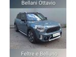 MINI Countryman 2.0 Cooper D Countryman  Automatica rif. 23786358