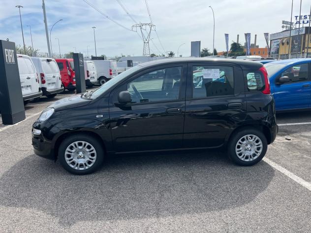 FIAT Panda 1.0 FireFly 70cv S&S Hybrid Pandina - Foto 6
