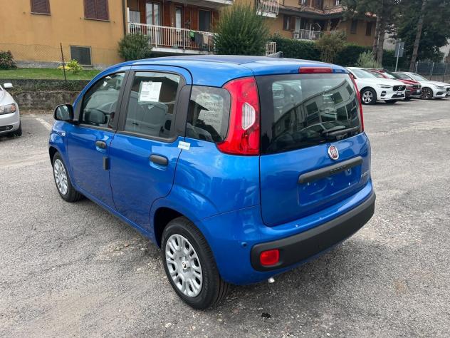 FIAT Pandina Pandina 1.0 firefly hybrid Icon s&s 65cv - Foto 8