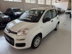 FIAT - Panda -  1.2 Lounge