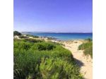 Masseria Ceratonia