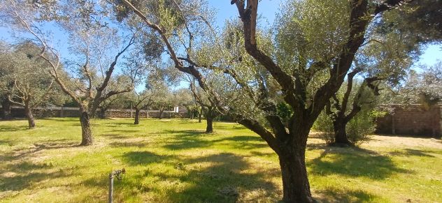 Bellissimo terreno - Foto 3