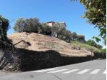 Agricolo in vendita a Arcola