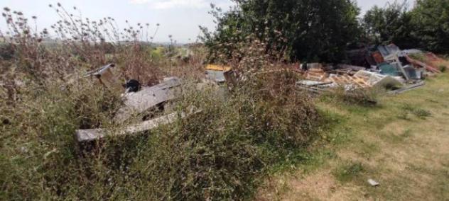 Immobile in asta di 76942 m² in vendita a Siena - Foto 3