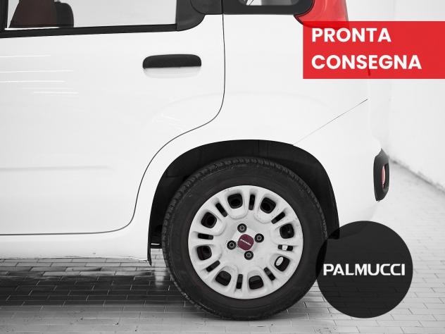 FIAT Panda 1.2 69cv Easy - Foto 7