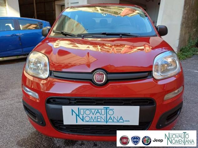 FIAT Panda Pandina 1.0 FireFly S&S Hybrid Icon 5°Posto rif. 24228150 - Foto 4
