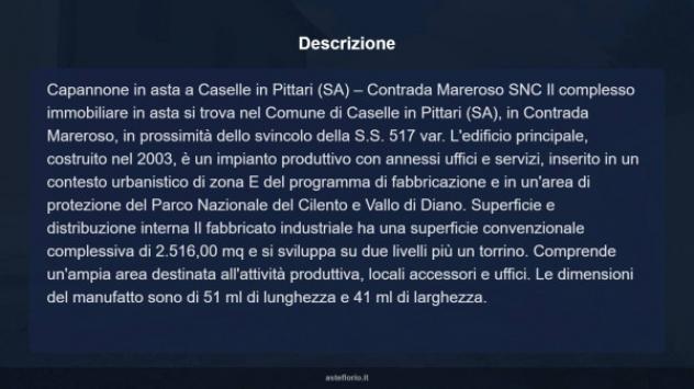 Immobile in asta di 2516 m² in vendita a Caselle in Pittari - Foto 8