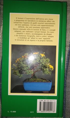 Bonsai Tecniche di coltivazione 3 - Foto 2
