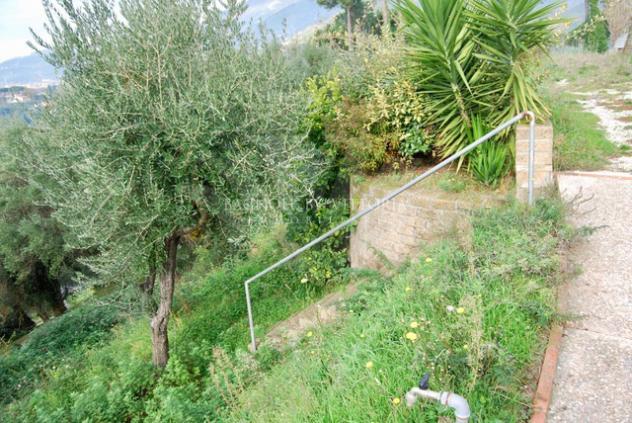 VILLA di 20 vani e di 440 mq (PIETRASANTA - Pietrasanta ) rif. 323/VE - Foto 3