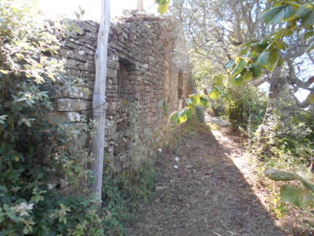 Perdifumo, Terreno Di 18.000 Mq Vista Mare Con Un Rudere - Foto 5