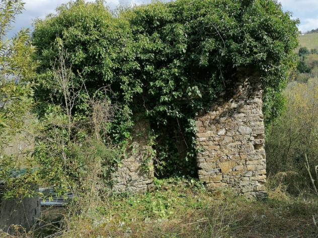 Agricolo in Contrada Puglisi - Foto 4