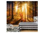 Fotomurale Adesivo Col Risveglio Della Foresta Arredalacasa