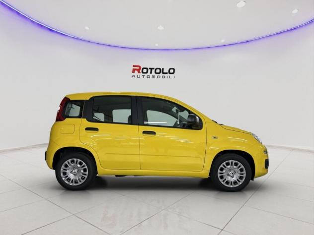 FIAT Pandina Pandina 1.0 FireFly 65 CV Hybrid Pop - Foto 5