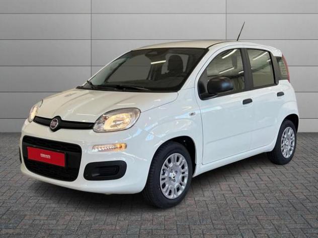 FIAT Pandina Pandina Pop rif. 23484115