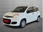 FIAT Pandina Pandina Pop rif. 23484115
