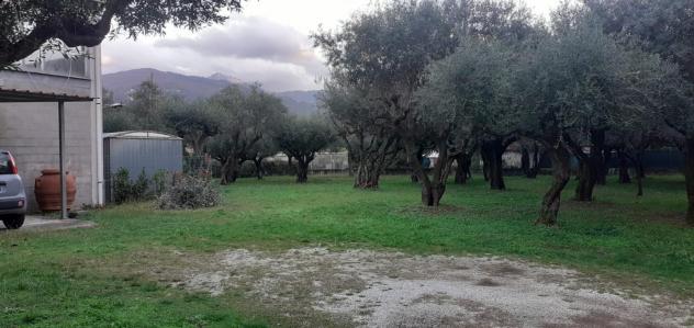 Casa singola in vendita a Massa 240 mq Rif: 1231513 - Foto 5