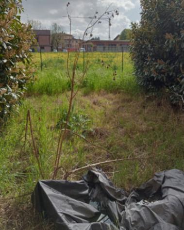 Immobile in asta di 95 m², box auto in vendita a Reggio Emilia - Foto 10
