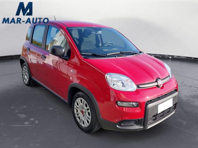 FIAT Panda Panda 1.0 firefly hybrid s&s 70cv - Foto 4
