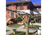 Villa Le Mattine