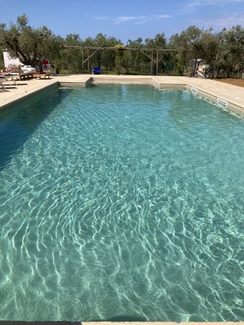 Al mare tra gli Ulivi Toscani