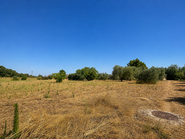 TERRENO IN VENDITA - Foto 5