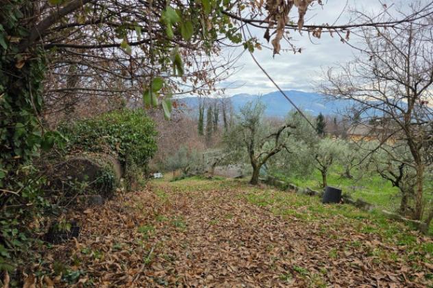 Terreno di 6110 m² in vendita a Velletri - Foto 7