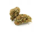 New York Diesel