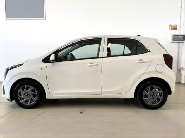 KIA Picanto 1.0 12V 5 porte Urban rif. 24097529 - Foto 8