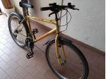 bicicletta mtb uomo