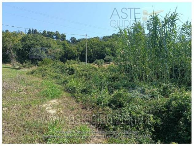 IMMOBILI-IMMOBILE COMMERCIALE-Via Valdicerro di Sopra, 60025 Loreto AN, Italia - Foto 3